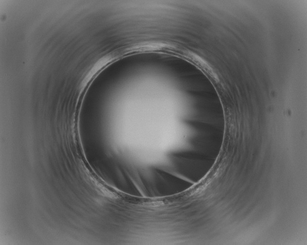X0000074211186200609011144