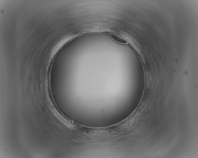 X0000074211187200609011144