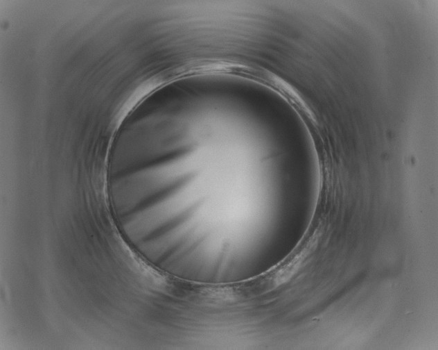 X0000074211194200609011144