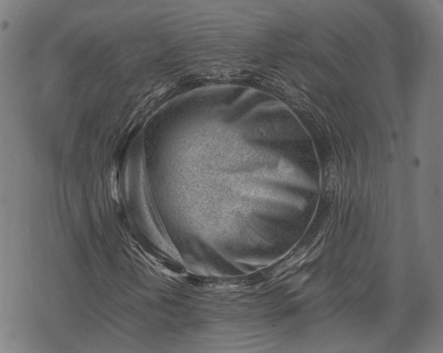 X0000074211202200609011143