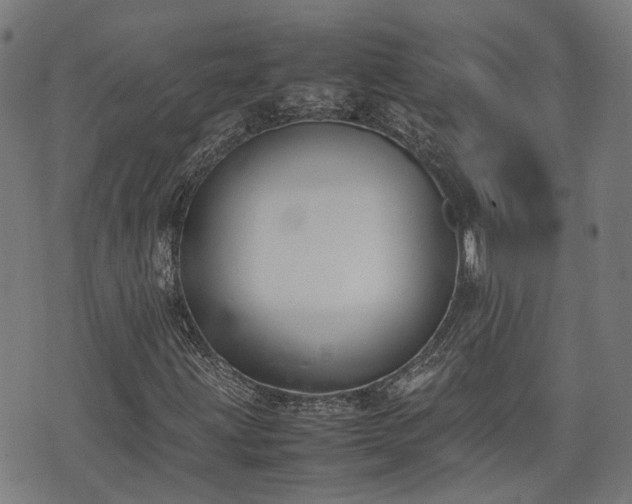 X0000074211203200609011143
