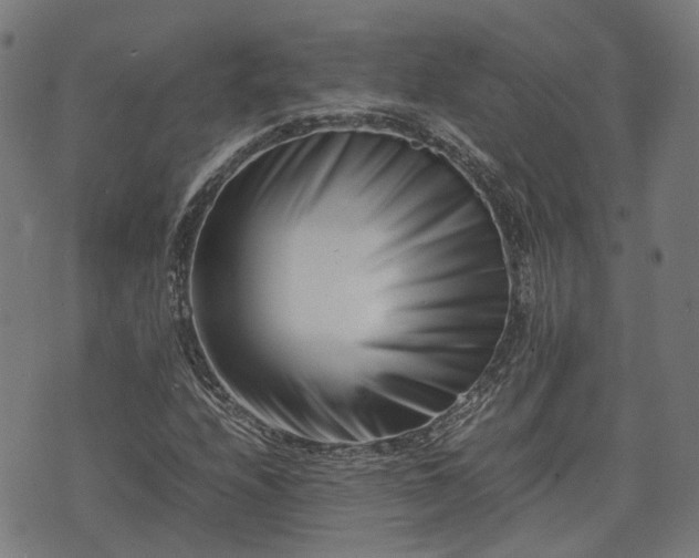 X0000074211208200609011143