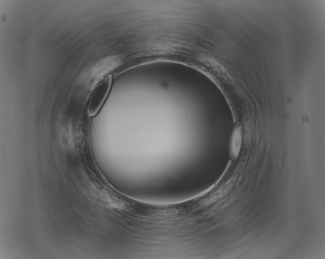 X0000074211210200609011143