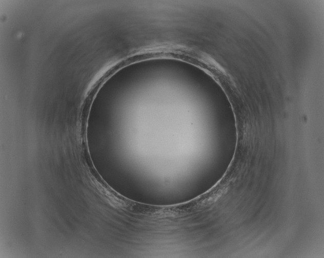 X0000074211216200609011143