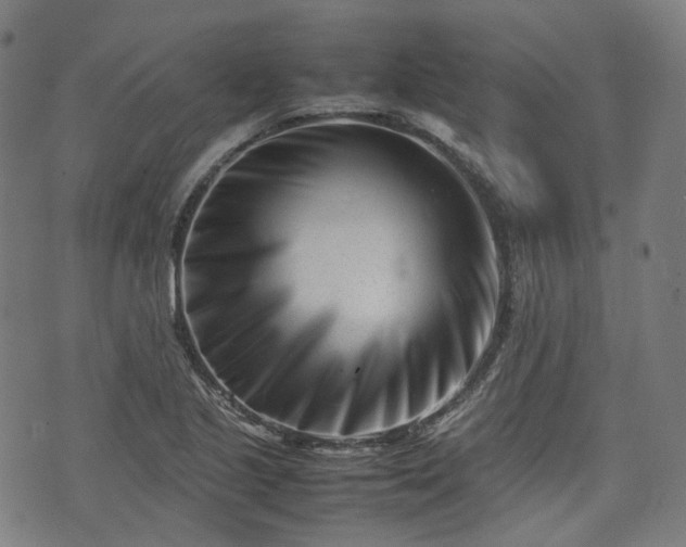 X0000074211221200609011143