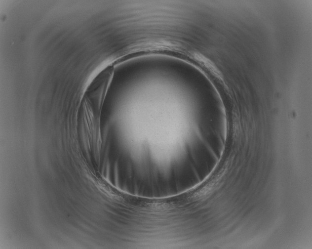 X0000074211226200609011143