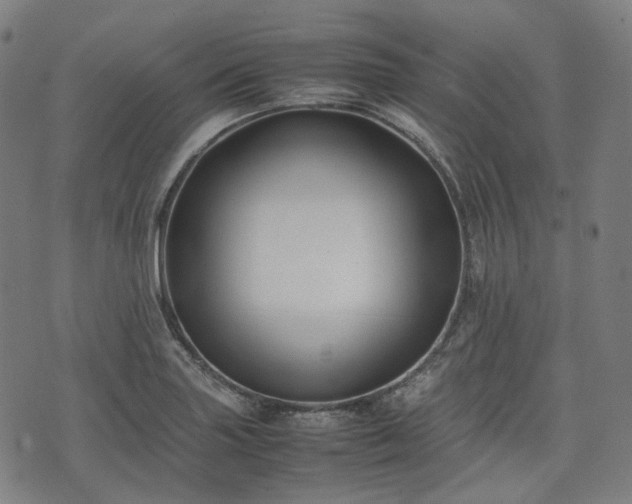 X0000074211227200609011143