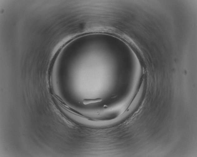 X0000074211230200609011143