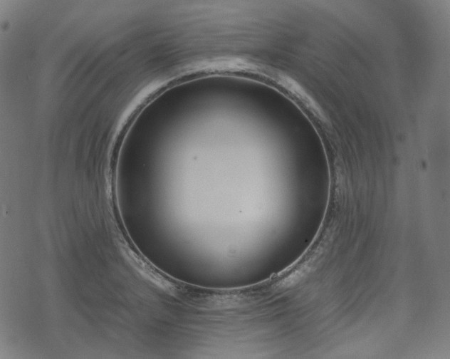 X0000074211232200609011143