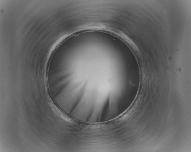 X0000074211240200609011143