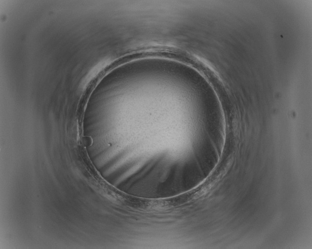 X0000074211267200609011143