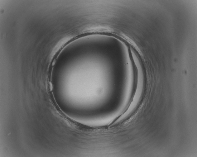 X0000074211277200609011142