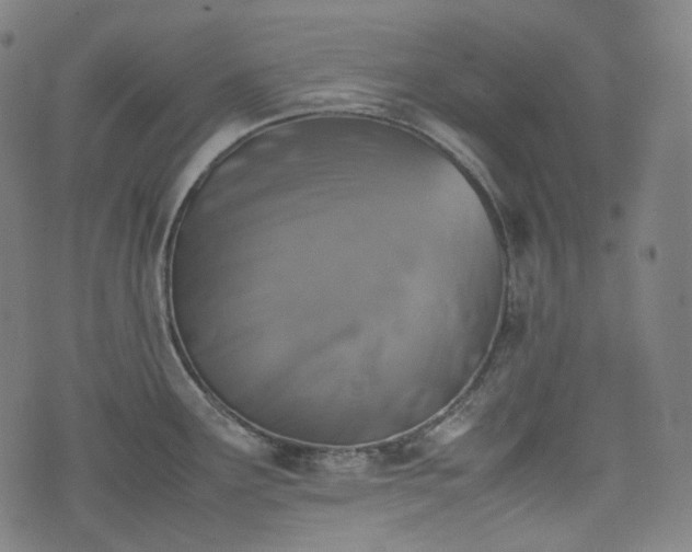 X0000074211291200609011142