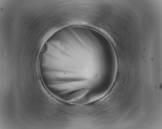 X0000074211295200609011142