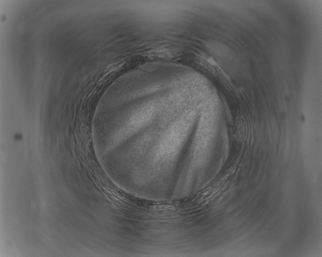 X0000074211297200609011141