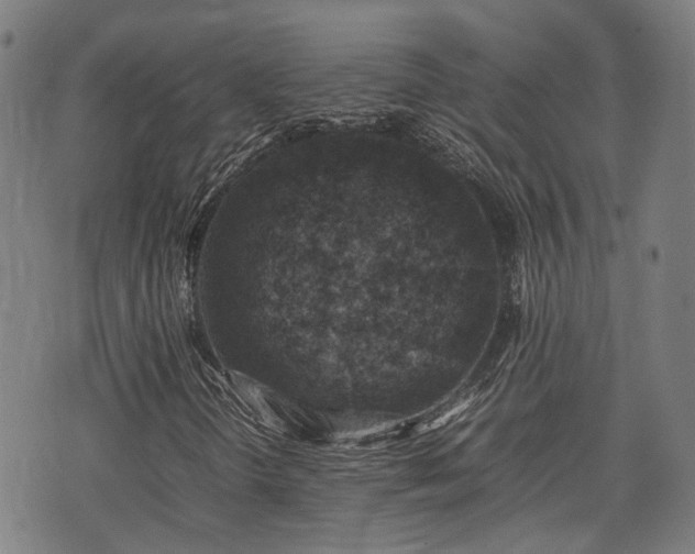 X0000074211298200609011141