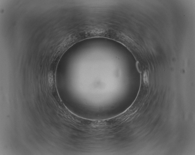 X0000074211299200609011141