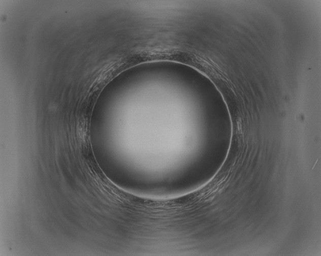 X0000074211300200609011141