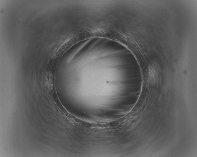 X0000074211301200609011141