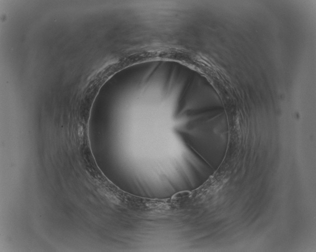 X0000074211302200609011141
