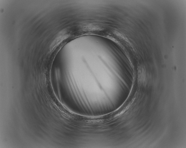 X0000074211305200609011141