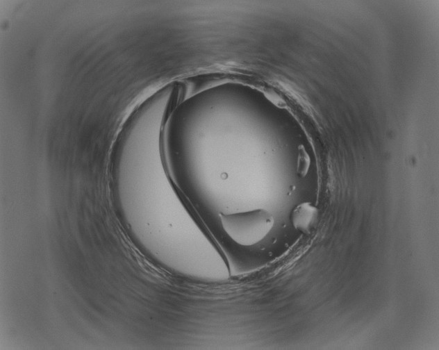 X0000074211308200609011141