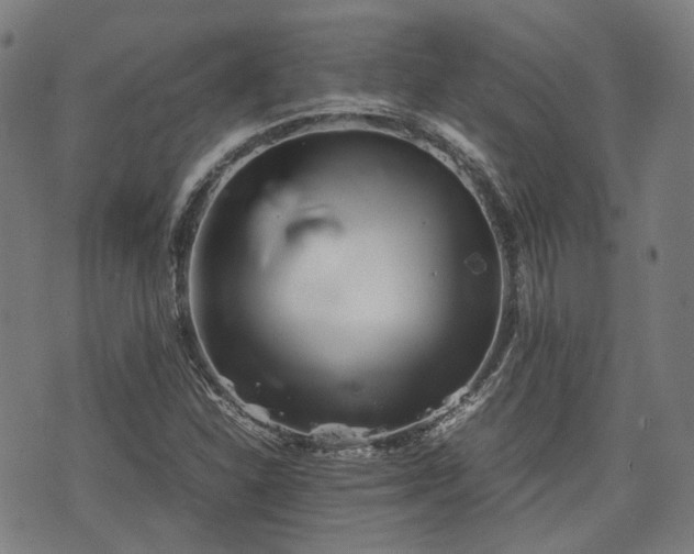 X0000074211310200609011142