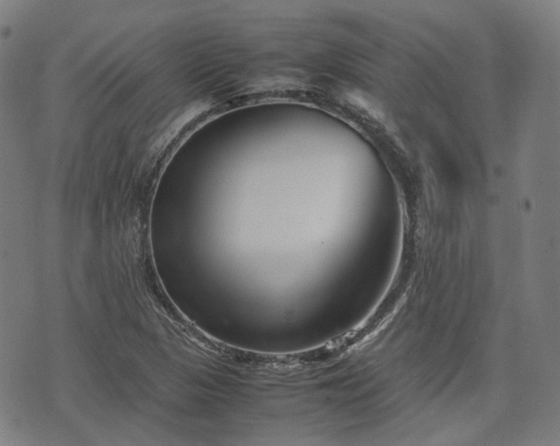 X0000074211313200609011142