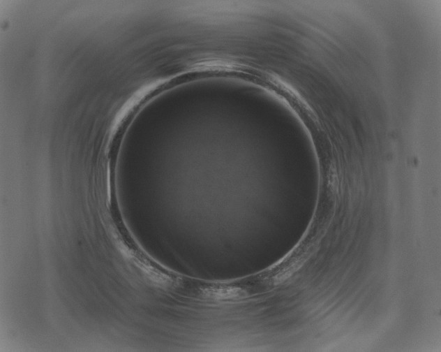X0000074211323200609011142