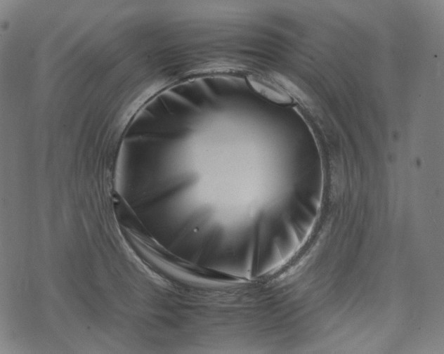 X0000074211329200609011142