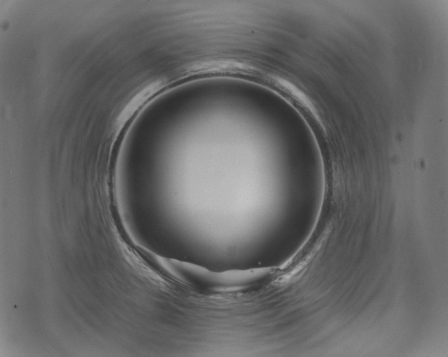 X0000074211330200609011142