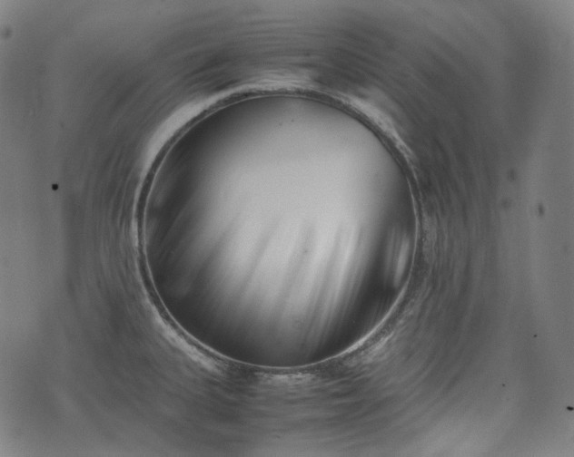X0000074211335200609011142