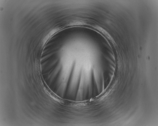 X0000074211337200609011142