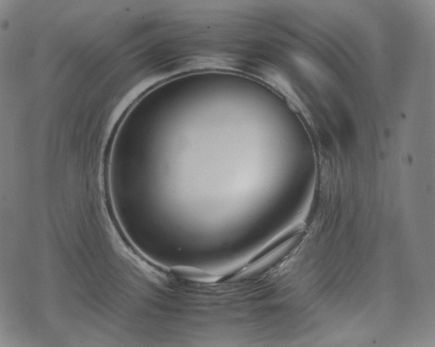 X0000074211339200609011142