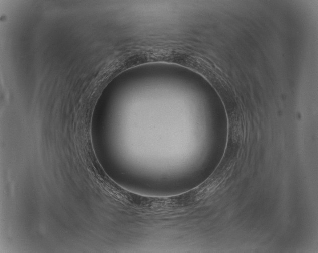 X0000074211345200609011141