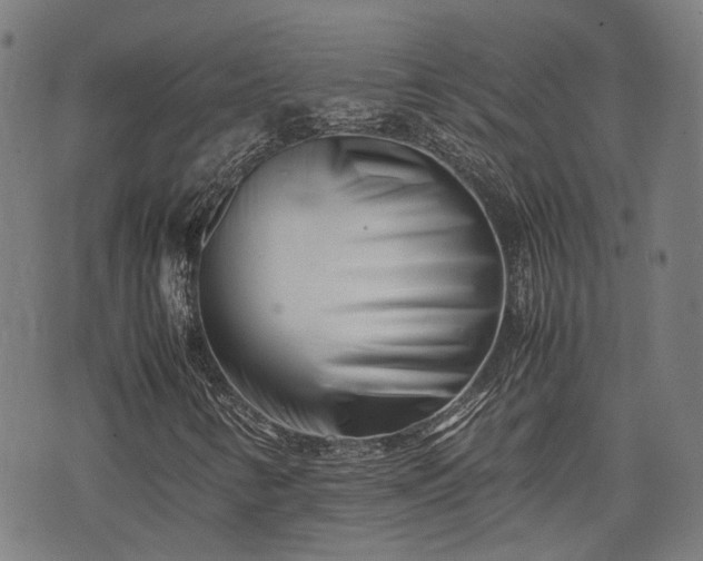 X0000074211346200609011141