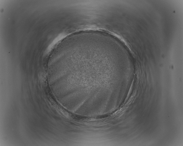 X0000074211359200609011141