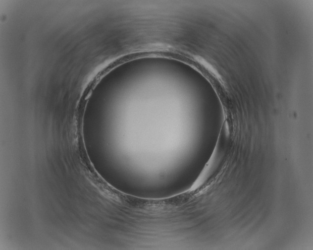 X0000074211364200609011141