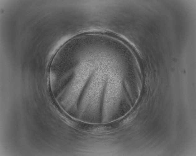 X0000074211367200609011141