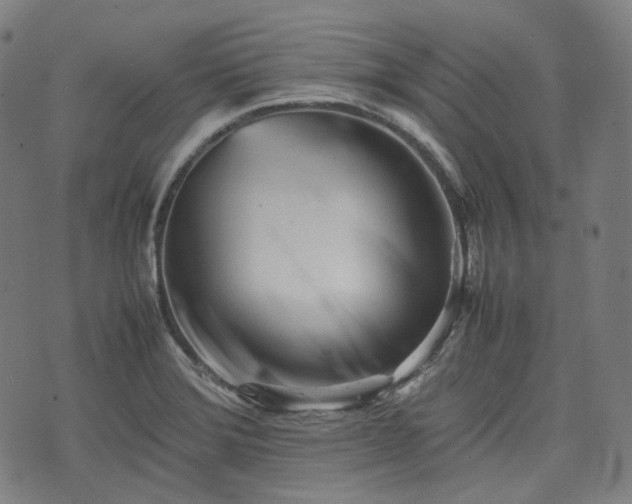 X0000074211372200609011141