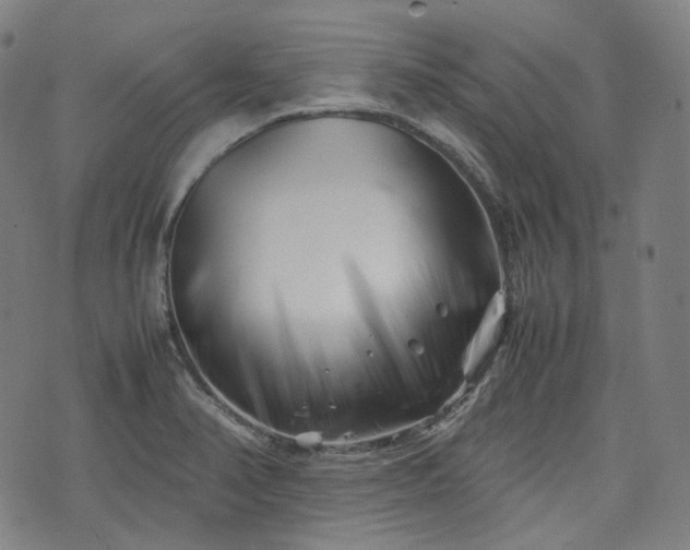 X0000074211374200609011141