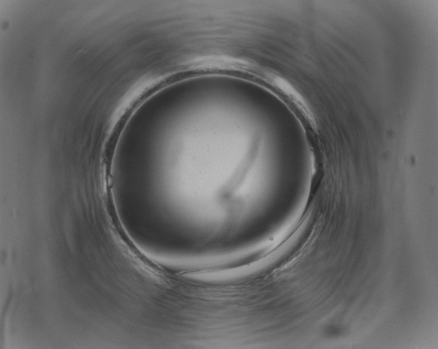 X0000074211376200609011141