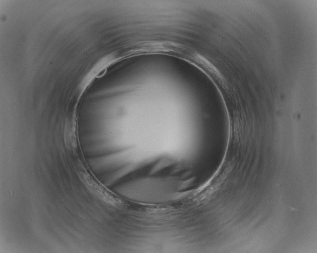 X0000074211378200609011141