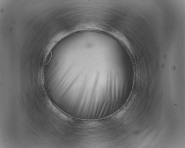 X0000074211382200609011141