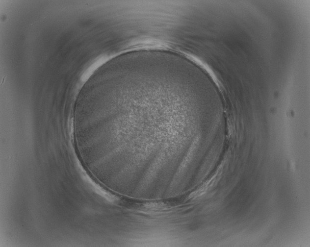 X0000074211383200609011141