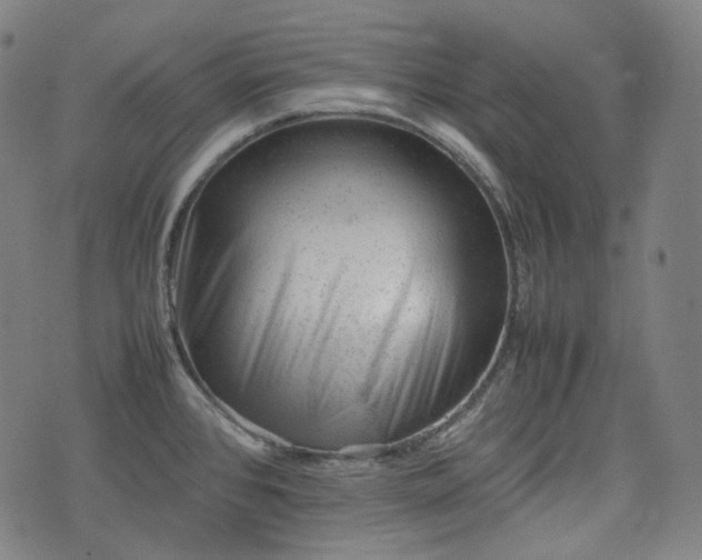 X0000074211384200609011141