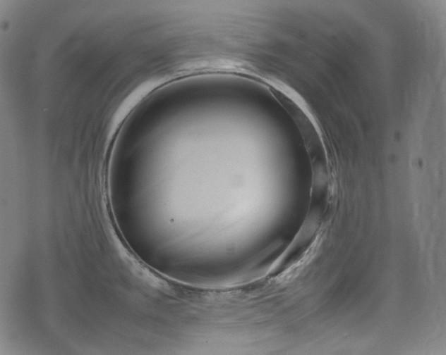 X0000074211389200609011141