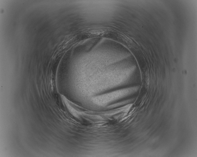 X0000074211394200609011140