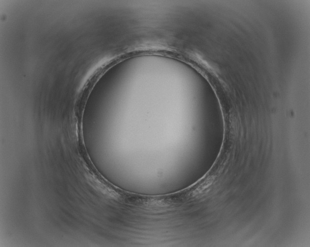 X0000074211408200609011140