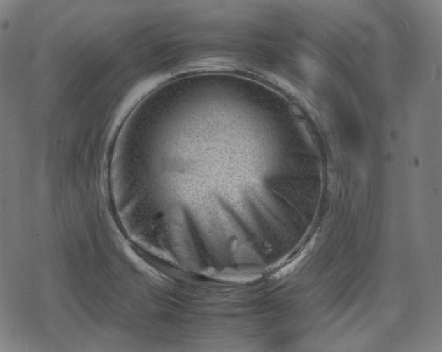 X0000074211421200609011140